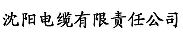 干柴烈火王二柱电缆厂logo